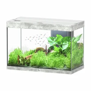 Garantierte Lieferung aquatlantis Splendid Ultra 145 Steinoptik Aquarium